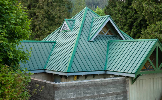 Professional Roofing in Rodney Village, DE