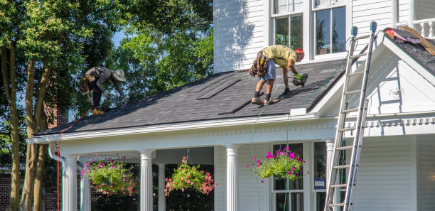 Best Chimney Flashing Repair  in Rodney Village, DE